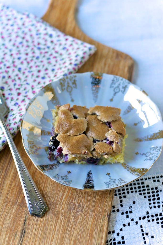 blueberry squares // movita beaucoup