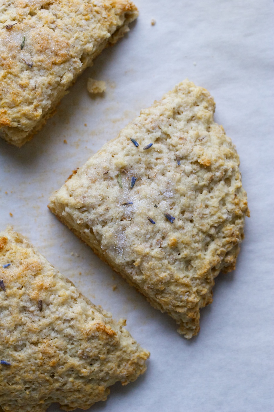 oatmeal scones topped with lavender sugar | movita beaucoup