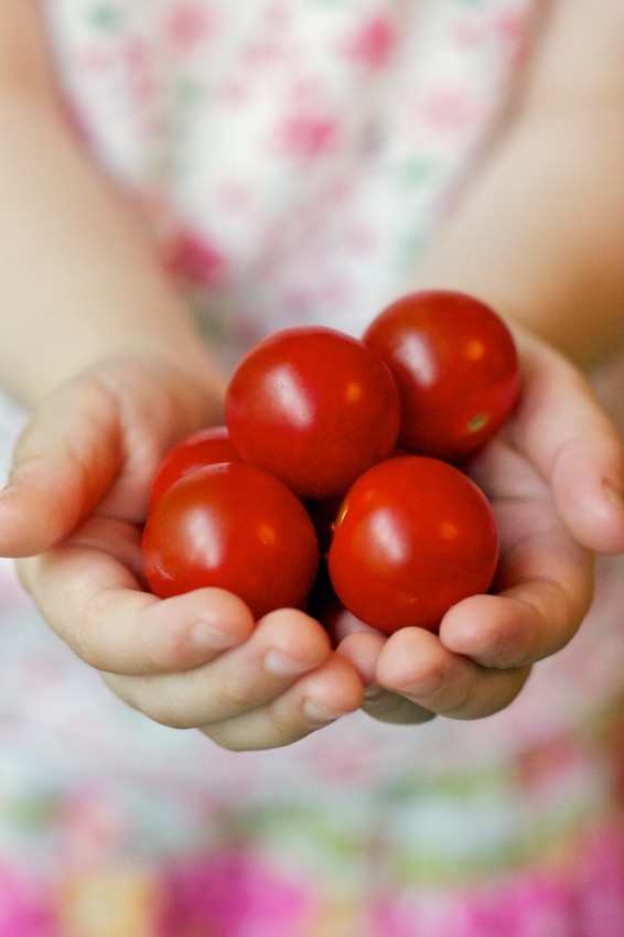 food drive | movita beaucoup