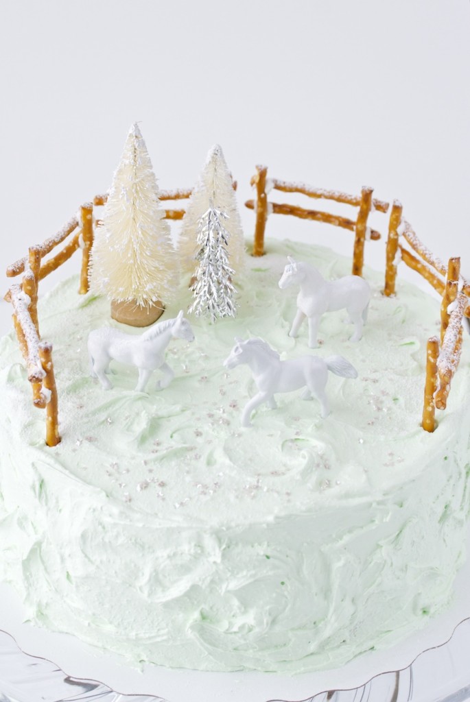 giddy-up cake | movita beaucoup