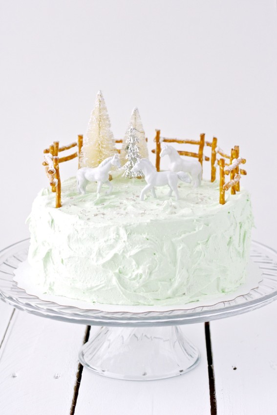 giddy-up cake | movita beaucoup