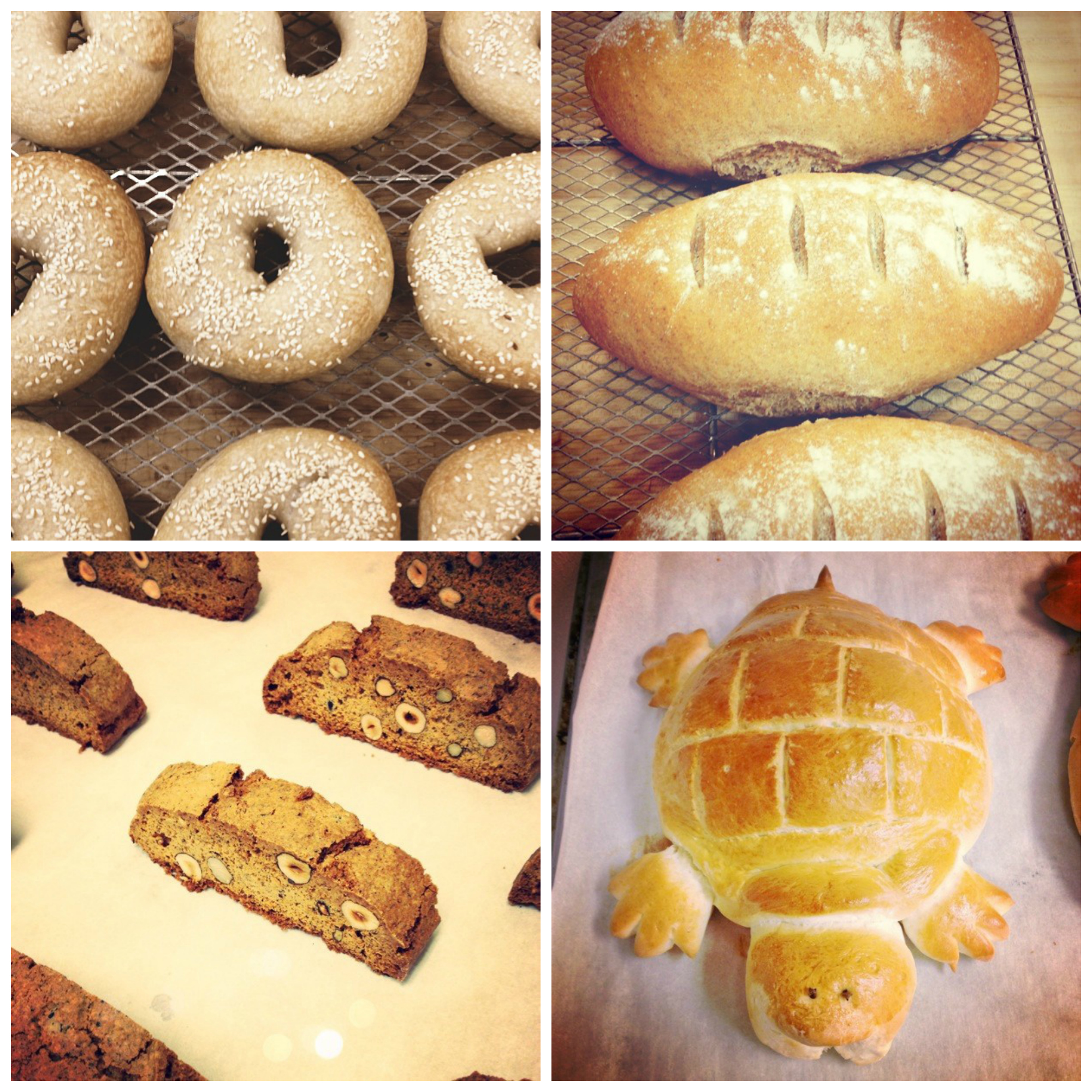 baking school | movita beaucoup