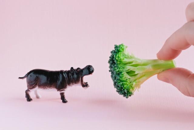 crap // movita beaucoup