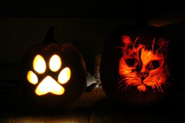 pumpkin carve-off 2016 // movita beaucoup