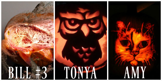 pumpkin carve-off 2016 // movita beaucoup