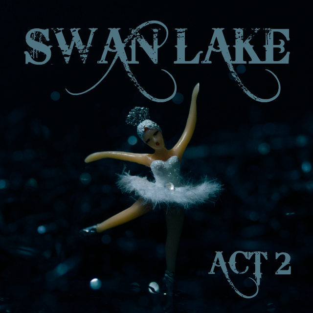ballet explained: swan lake // movita beaucoup